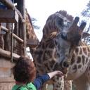 Kitty Eisele - @KitinDC - Twitter