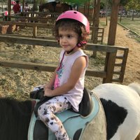 yılmaz (@ylmzbas) 's Twitter Profile