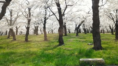 penetrater_744's profile picture. 