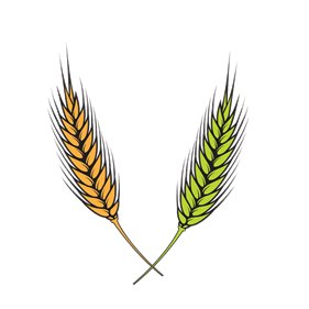 agri_risk's profile picture. #Risk...will no longer be Risk !!!            #Agrinsurance #PMFBY #Cropinsurance