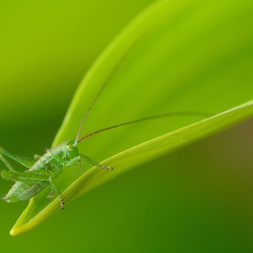 kienlinhkt's profile picture. 