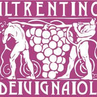 VignaioliTrentino (@vignaiolitrento) 's Twitter Profile