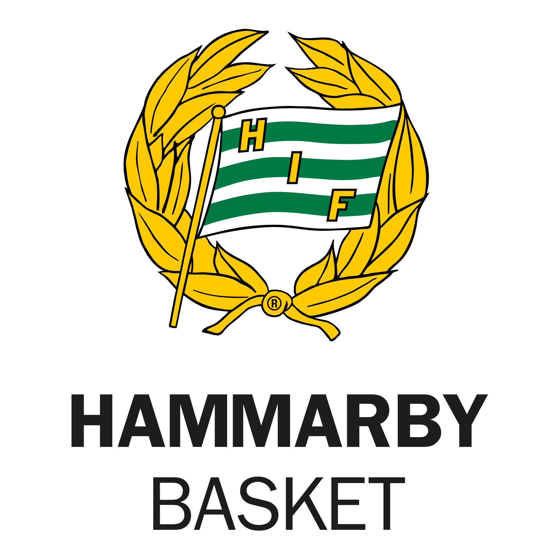 @hammarbybasket