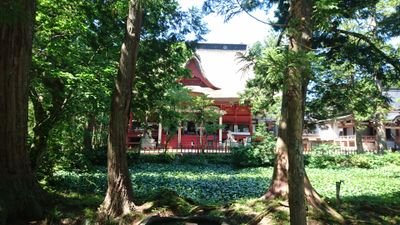 神社やお寺巡りを趣味にしています。
最近は御朱印も頂き初めました。新潟と山形中心ですが、これからいろいろ進出しようと思っています😁
よろしくお願いします。
無言フォロー失礼します。