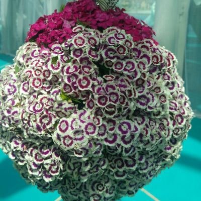 byn_mcze's profile picture. 