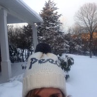 Tracy Misch (@mischtracy) 's Twitter Profile