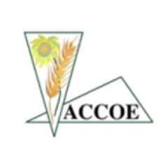 ACCOE Profile