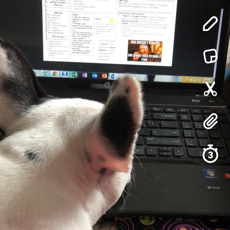 6gees's profile picture. Une mere, mamie, et une enseigne. Middle school history, science, and bien sur francais! Disney fan, Francophile, traveler, learned. HF#10338