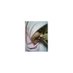 Nurul Ulfah (@_nurulffah) Twitter profile photo Nurul Ulfah (@_nurulffah) Twitter profile photo