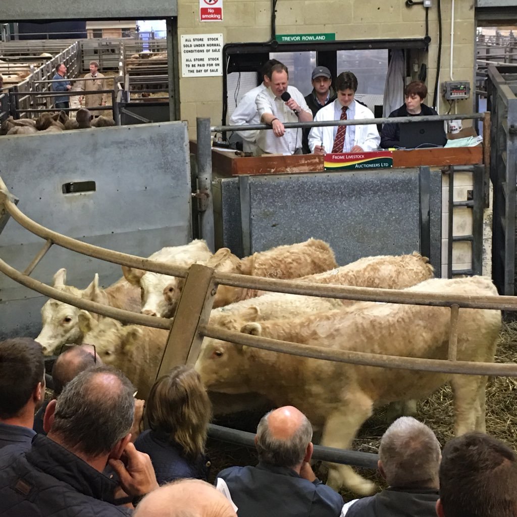 A leading livestock market in the South West with weekly sales on Wednesdays (Fat & Cull Stock Dairy Cattle Calves & Sheep) & Fridays (Breeding & Store Cattle)
