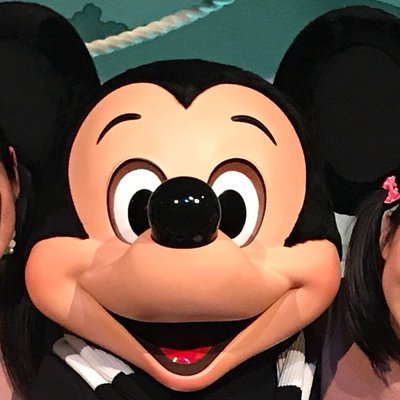 横国ディズニー貸し切りプロジェクト Ynu Disney55 Twitter 横国ディズニー貸し切りプロジェクト Ynu Disney55 Twitter