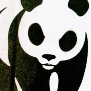 sid8a's profile picture. 