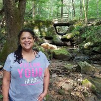 Tracy C. Baton (@pghshecat) 's Twitter Profile