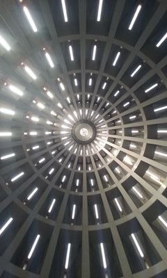 Graemey_Ward's profile picture. Procrastinating like there's no tomorrow