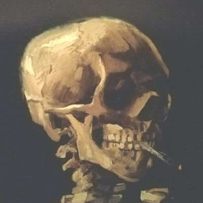 vincevango1's profile picture. Citizen of the world, Citizen of nowhere, European, British & English. Trying to make sense of it all.