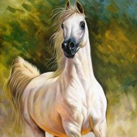 mousamousa36 (@mousamousa361) 's Twitter Profile