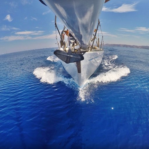 Polcaterwaul's profile picture. 