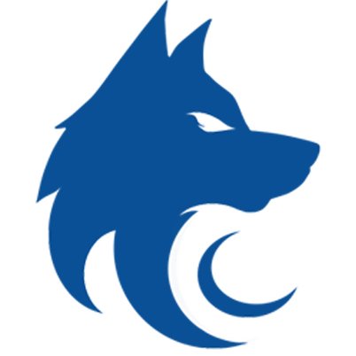 crewolves's profile picture. The architects of future gaming.