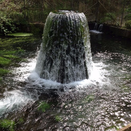 Oregon small business owner of CwM-H2O, a natural resources consulting group supporting water and energy projects with expert professional services.