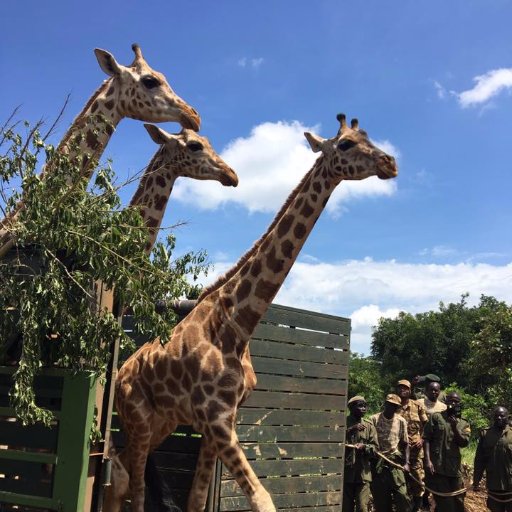 American College of Zoological Medicine Profile