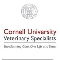 CUVS_Stamford's profile picture. Providing specialty & 24-hour emergency care for animals. Walk-in emergency service available 24/7/365. Specialty veterinarian appts available by referral.