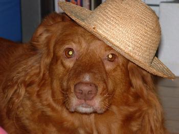 rascal516's profile picture. Twitter始めました！。から10年も経っちゃいました。