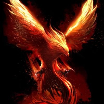 Tryndaboss's profile picture. 