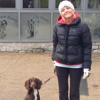 Claire Crane (@clairecrane123) 's Twitter Profile