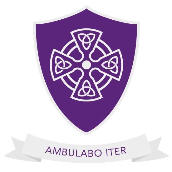 The shiny, new Twitter account of St David's Catholic College Chaplaincy. With good things happening, it is worth letting the world know. Ambulabo iter.