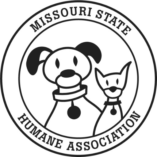 mostatehumane Profile Picture