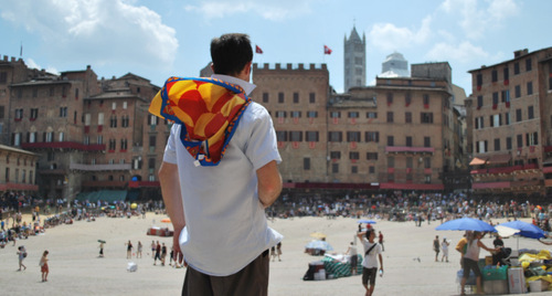 IntelliSense's profile picture. Software Development