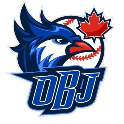 Ontario Blue Jays -
15U - Head Coach