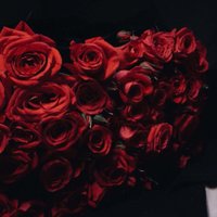 دنيـاآي 🖤 (@mmemoosh) Twitter profile photo