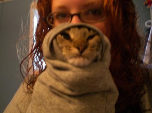 fuzzyred's profile picture. Emotionally challenged intellectual robot, seeking to explore the universe.