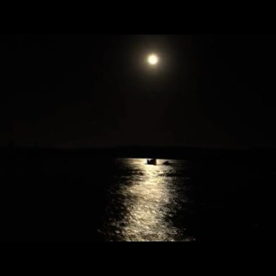 VdSeuEuIGPlJtog's profile picture. 