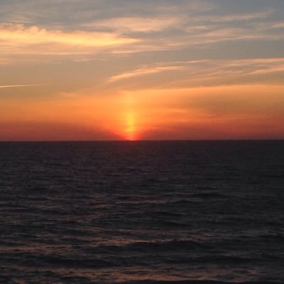 Donnamay55's profile picture. #NotmyPresident