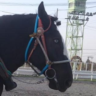 ふぁらんさんのプロフィール画像