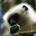 Eric MATHIEU - @marojejy - Twitter