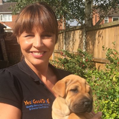 Dog Behaviour Consultant in The West Midlands https://t.co/On6mTreU4D