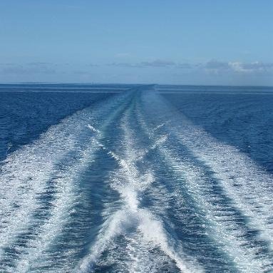 CrackingOpenShe's profile picture. 