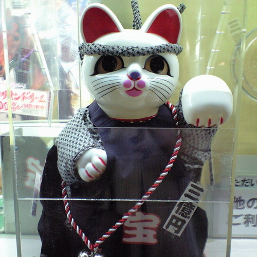 senapii's profile picture. 