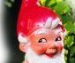 Tradition-Shop.de - verkauft Gartenzwerge und Kuckucksuhren - Versand weltweit.