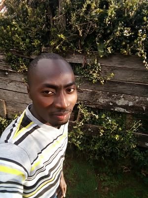 ellyndege92's profile picture. Great academic research writer