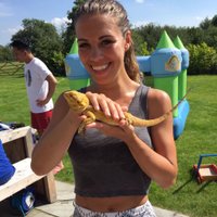 Becky Green (@becky1roc) 's Twitter Profile