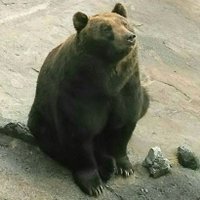 ぶー♪ (@bu_2011spring) Twitter profile photo