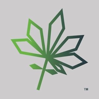 An therapeutic application that bridge the gap between patients and dispensaries through intelligent technology.