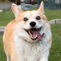 Diem00197621's profile picture. 🤫🤫🤫