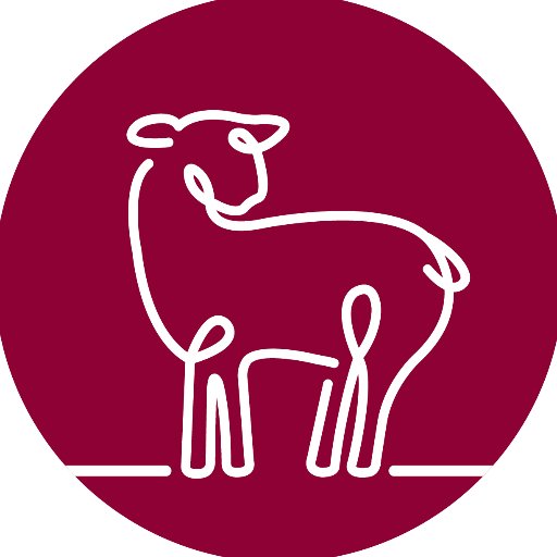 Ontario Sheep Farmers is a producer organization representing the sheep, lamb and wool industry.