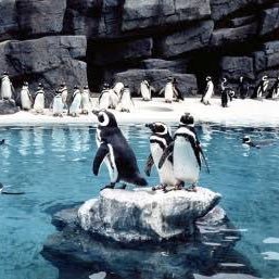 fuyuwinter2017's profile picture. I’m not a PHN, not a PHD. My tweets are personal opinions and unrelated to the organization’s policy I belong to.