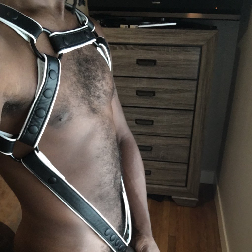 9 inch cock looking to unload balls deep